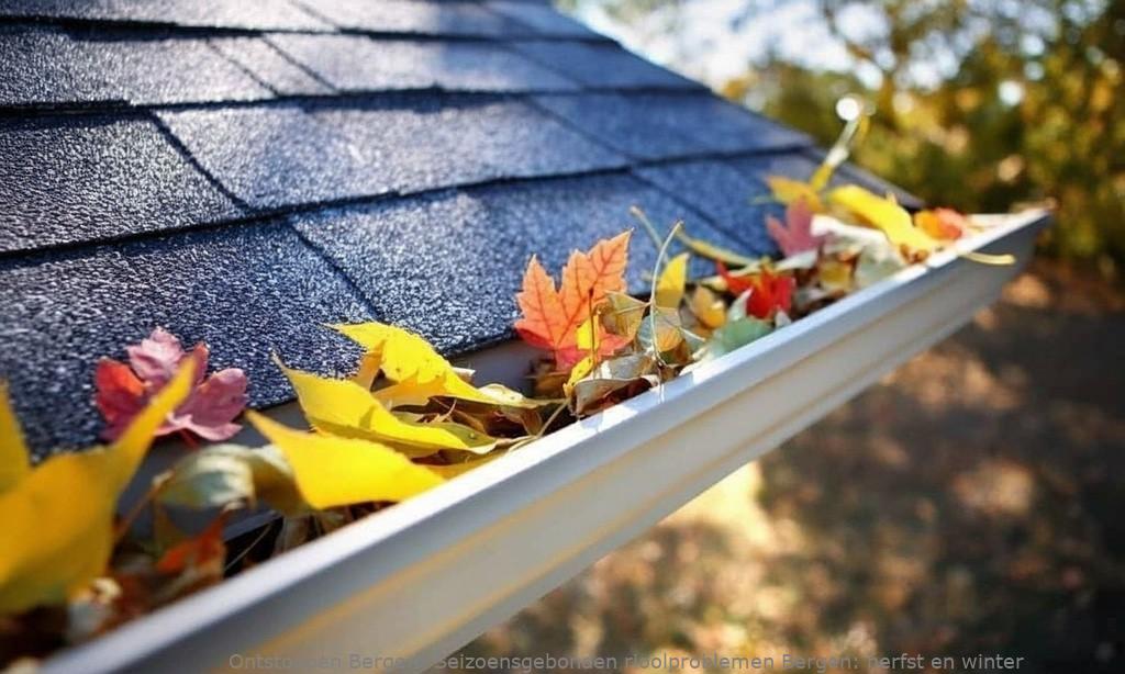 Seizoensgebonden rioolproblemen Bergen: herfst en winter
