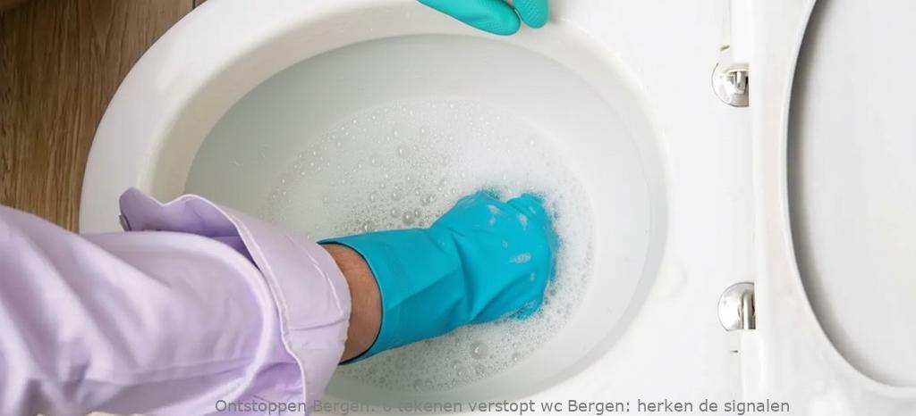 6 tekenen verstopt wc Bergen: herken de signalen